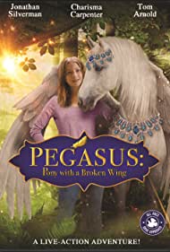 Pegasus: Pony with a Broken Wing