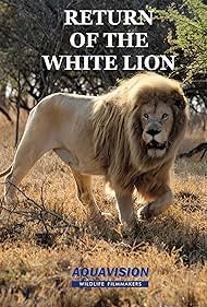 Return of the White Lion