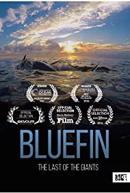 Bluefin