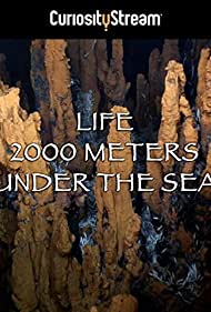 Life 2,000 Meters Under the Sea