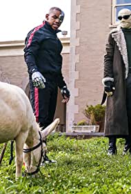 Donkey Patrol