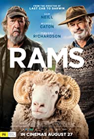 Rams