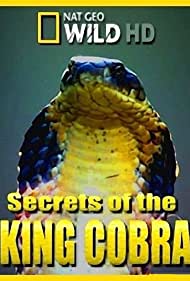 Secrets of the King Cobra