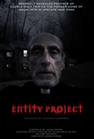 Entity Project