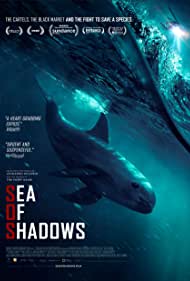 Sea of Shadows